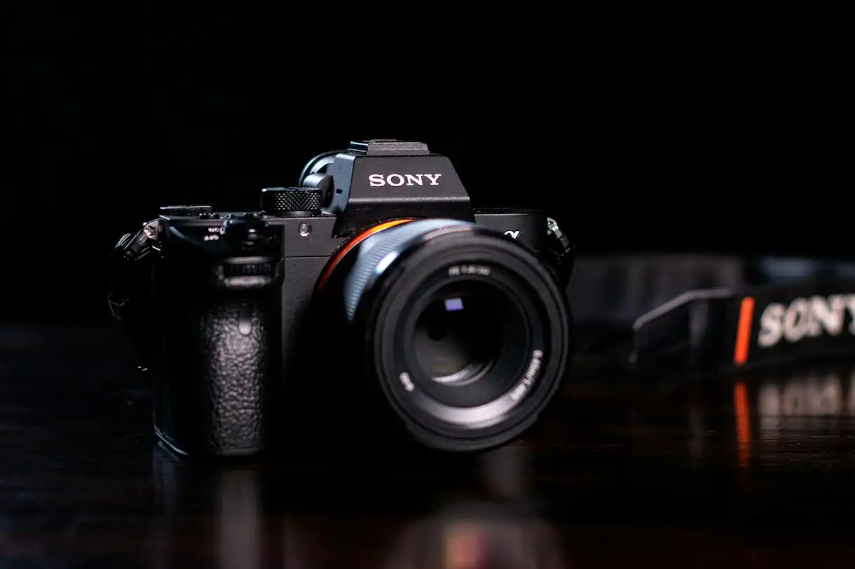 Portrait Photography